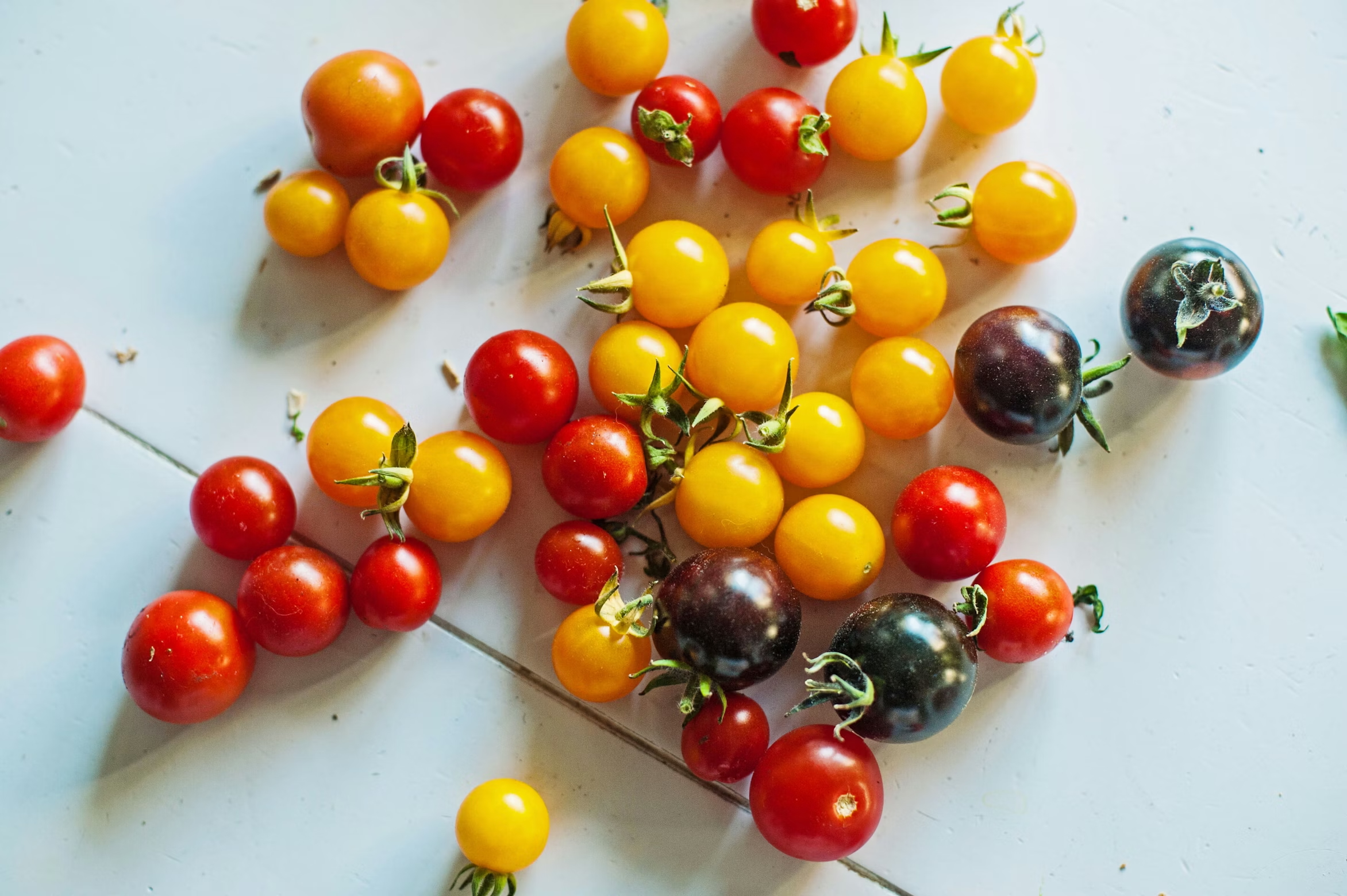 Assorted colorful tomatoes harvested from an urban balcony garden arranged on a table