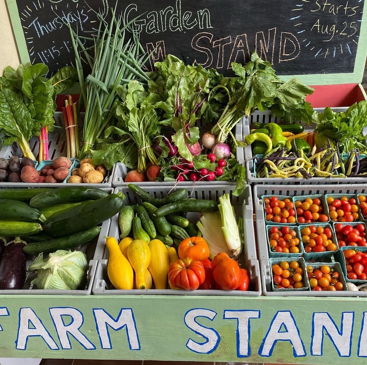 Community farmstand with neighbors gathered around fresh produce