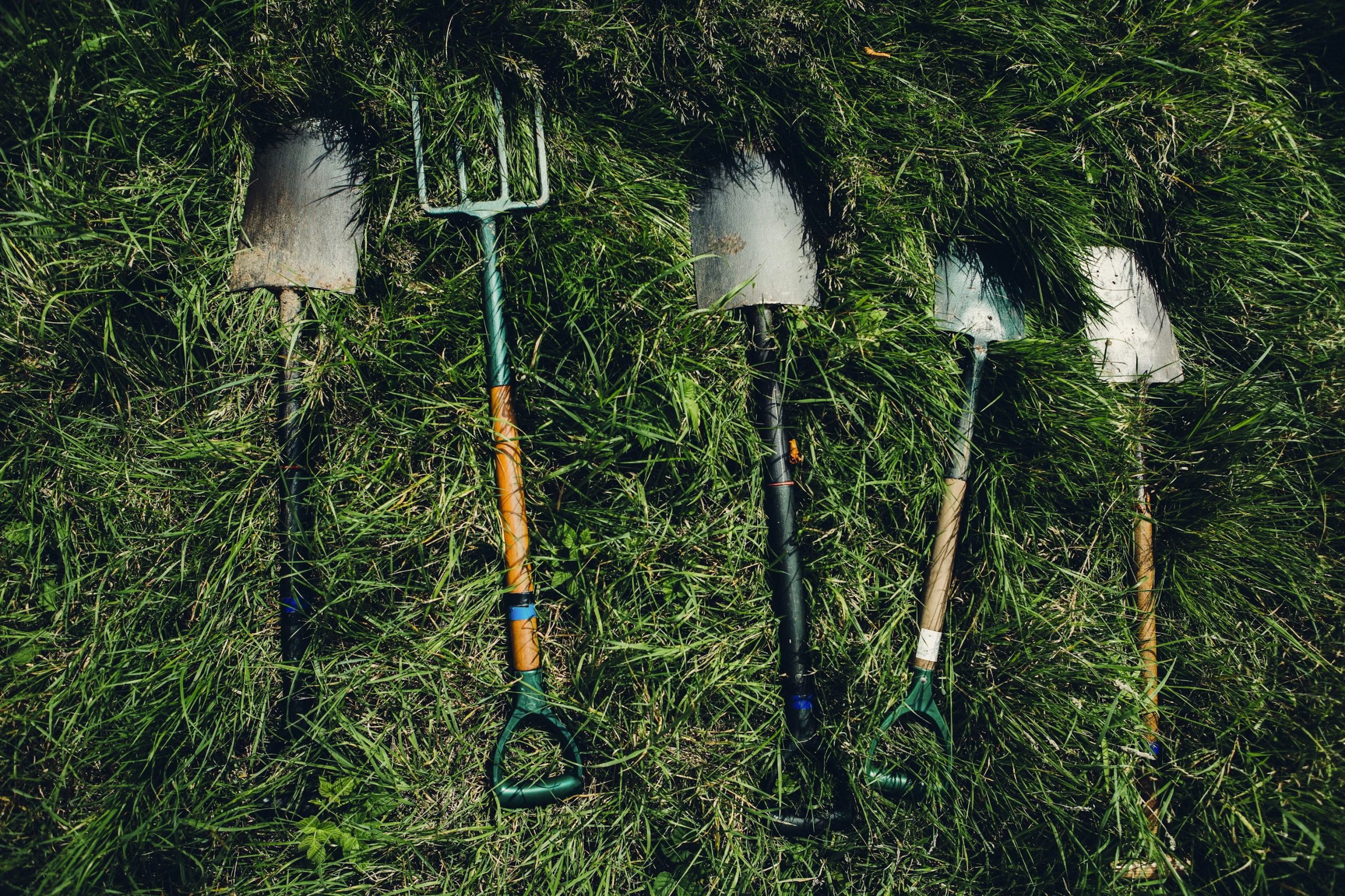 Assorted gardening tools laid out on green grass for urban homestead projects
