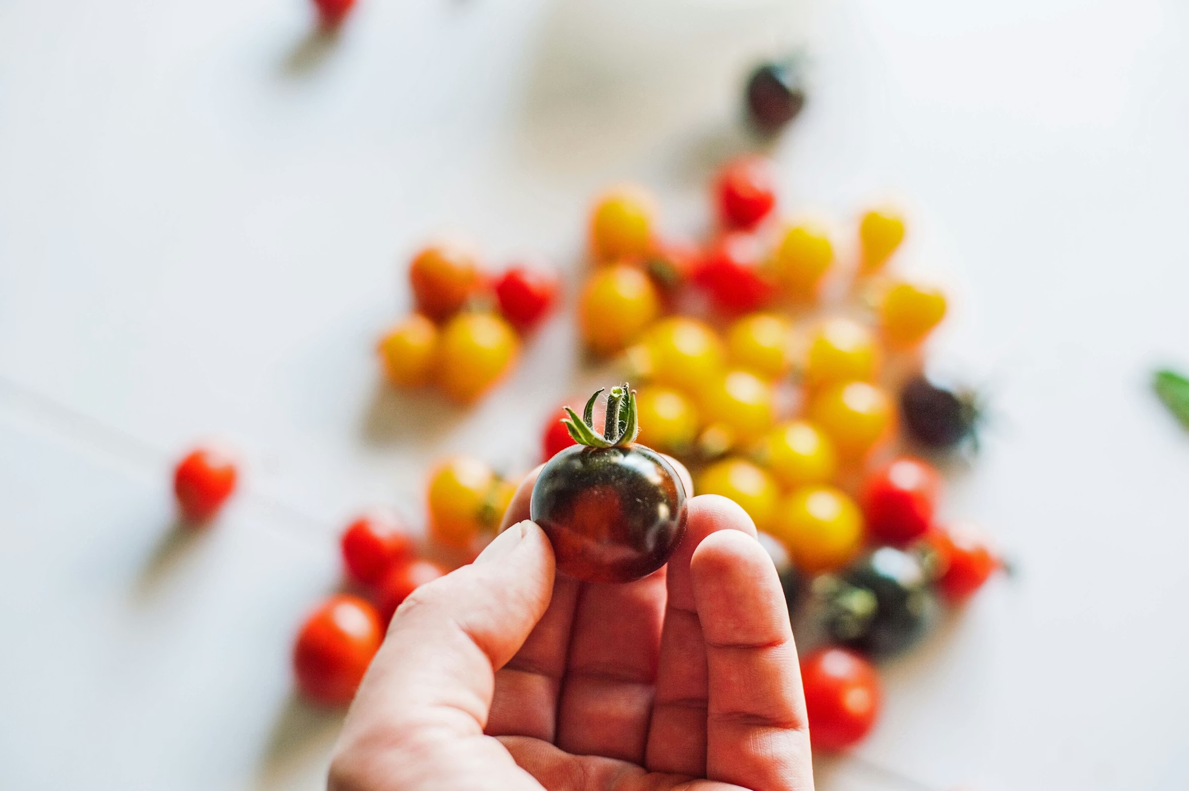 Hand holding a small cherry tomato above a balcony container garden in an urban apartment