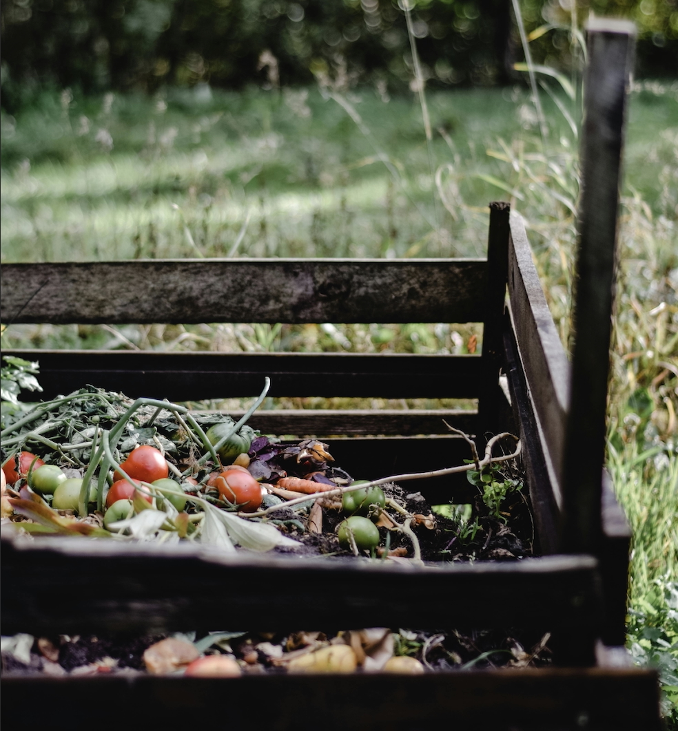 Composted vegetable scraps breaking down into nutrient rich soil in an urban garden
